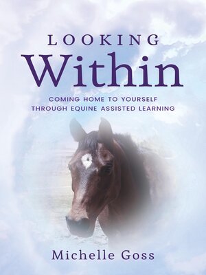 cover image of Looking Within